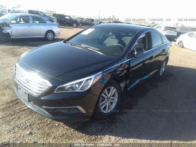 5NPE24AF2GH358594  hyundai sonata 2016 IMG 5