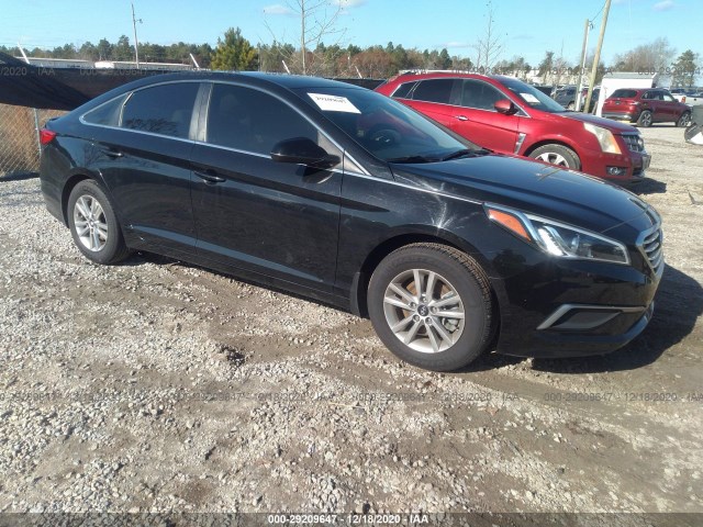 5NPE24AF3GH285400  hyundai sonata 2016 IMG 0