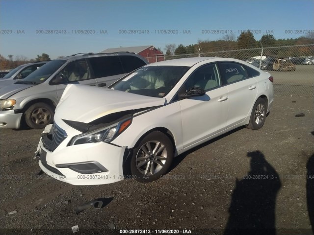 5NPE24AF3GH360709  hyundai sonata 2016 IMG 1