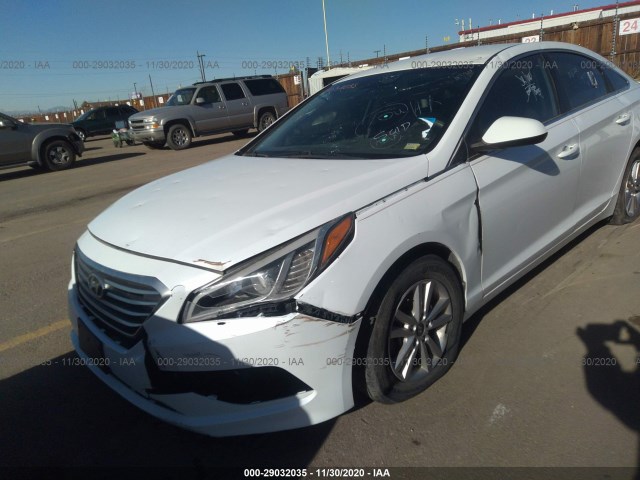 5NPE24AF4FH013064  hyundai sonata 2015 IMG 5