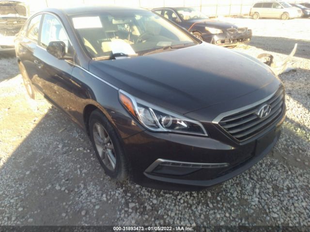 5NPE24AF4FH219775  hyundai sonata 2015 IMG 5