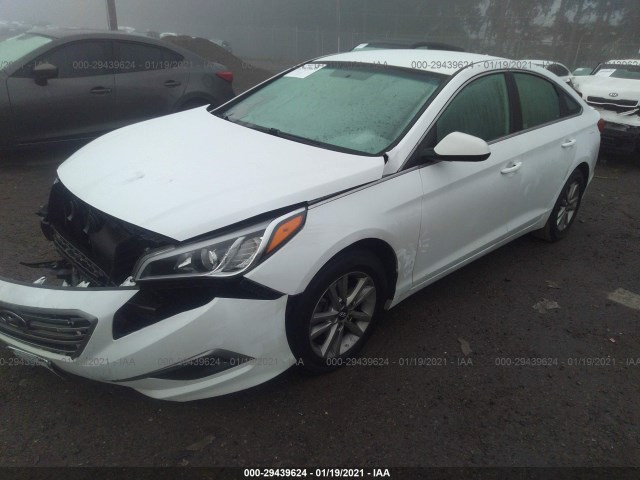 5NPE24AF5FH006916  hyundai sonata 2015 IMG 1