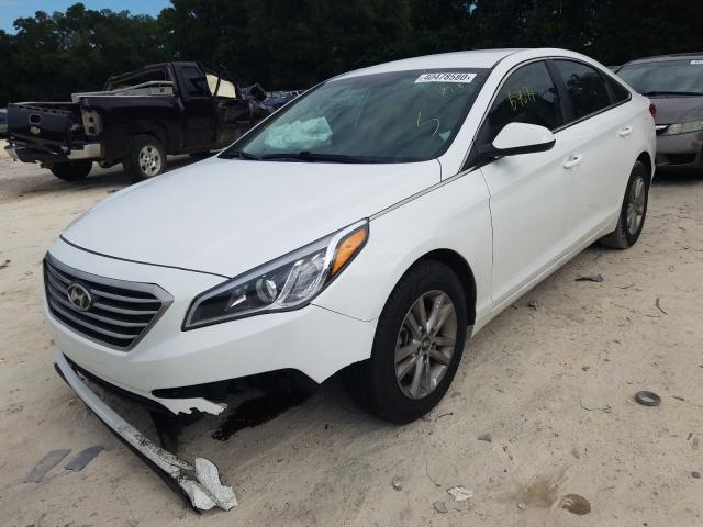 5NPE24AF5GH339814  hyundai sonata 2015 IMG 1