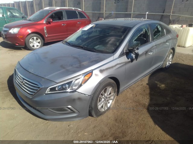 5NPE24AF5GH348674  hyundai sonata 2016 IMG 5