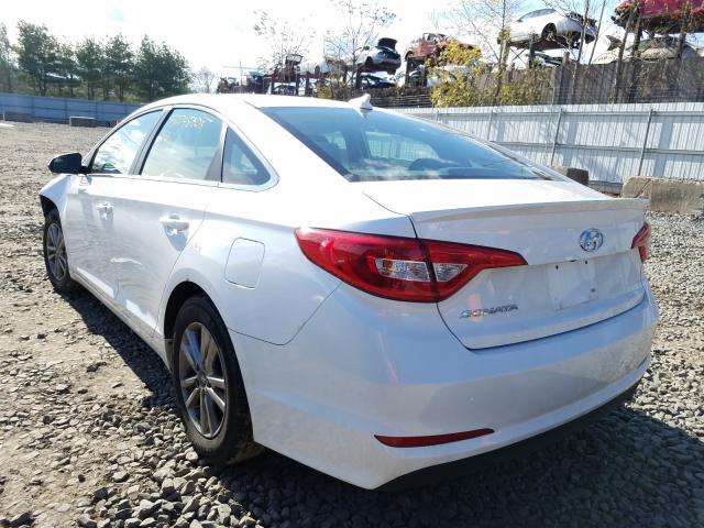 5NPE24AF7GH296612  hyundai  2016 IMG 2