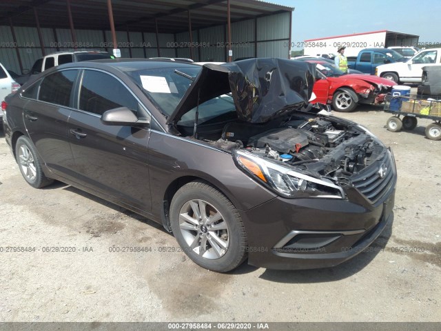 5NPE24AF7GH327325  hyundai sonata 2016 IMG 0