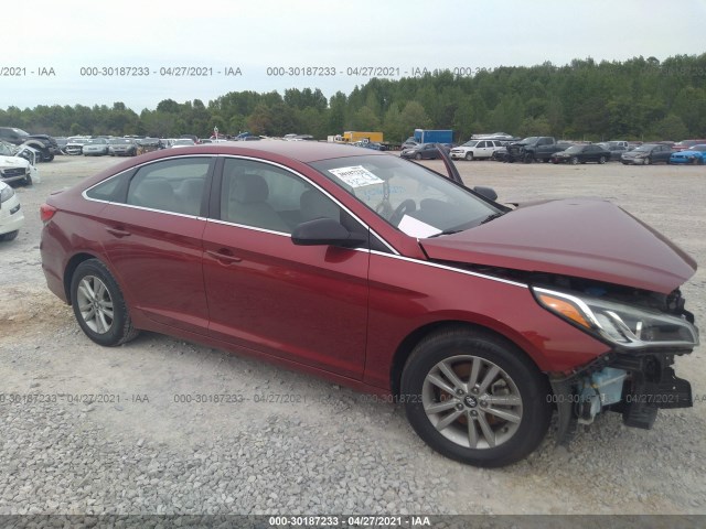 5NPE24AF7GH369445  hyundai sonata 2016 IMG 0