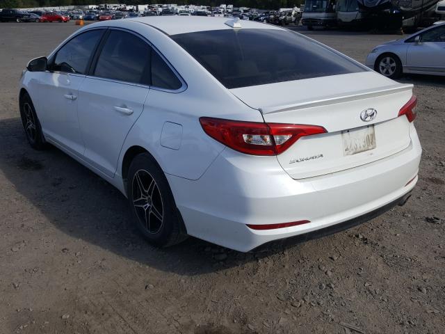 5NPE24AF9GH296580  hyundai  2016 IMG 2