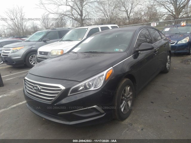 5NPE24AFXGH297222  hyundai sonata 2016 IMG 1