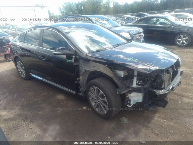 5NPE34AF1FH187462  hyundai sonata 2015 IMG 0