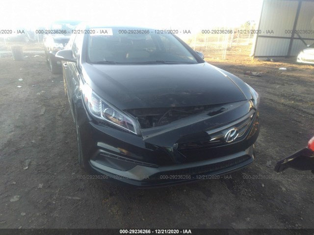 5NPE34AF2GH285921  hyundai sonata 2016 IMG 5