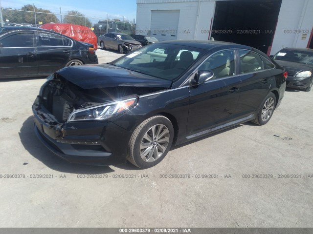 5NPE34AF3GH309644  hyundai sonata 2016 IMG 1