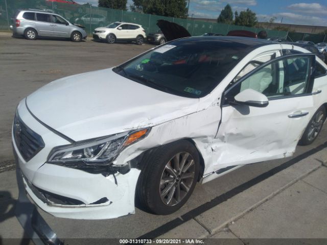 5NPE34AF3GH333815  hyundai sonata 2016 IMG 5