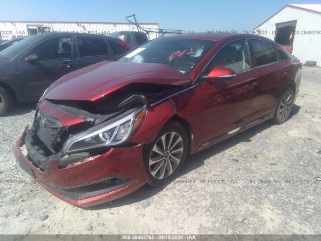 5NPE34AFXGH300407  hyundai sonata 2016 IMG 1