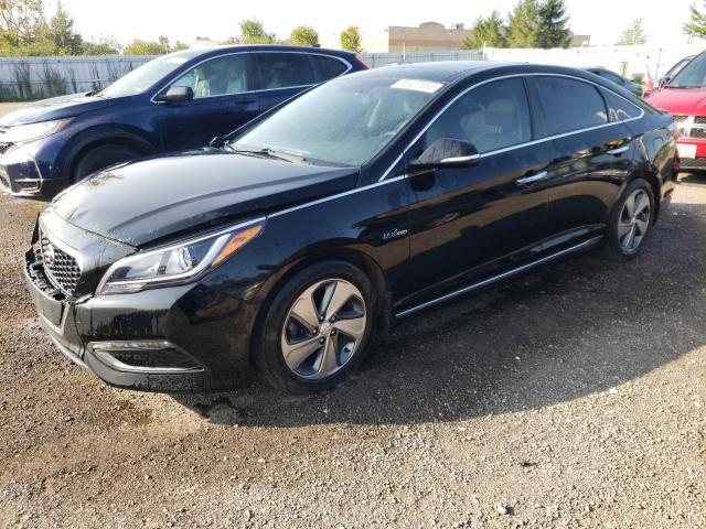 KMHE34L12GA010330  hyundai sonata 2016 IMG 0