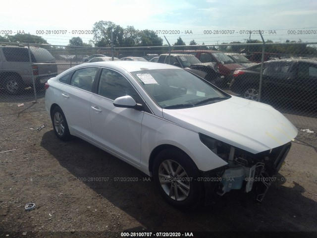 5NPE24AF0GH405654  hyundai sonata 2016 IMG 0