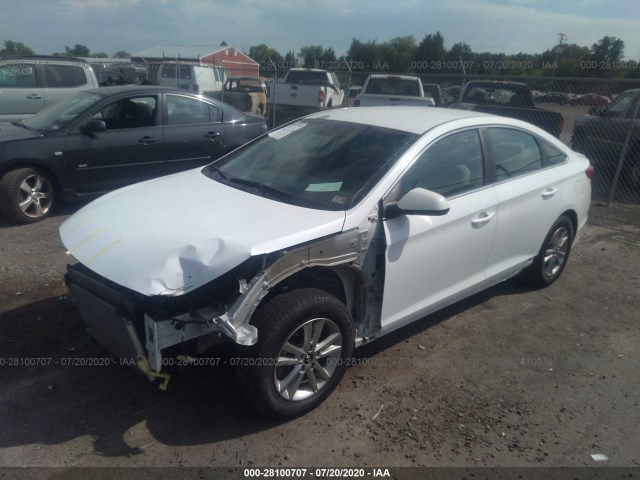 5NPE24AF0GH405654  hyundai sonata 2016 IMG 1