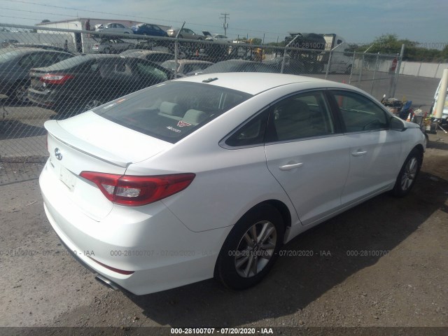 5NPE24AF0GH405654  hyundai sonata 2016 IMG 3