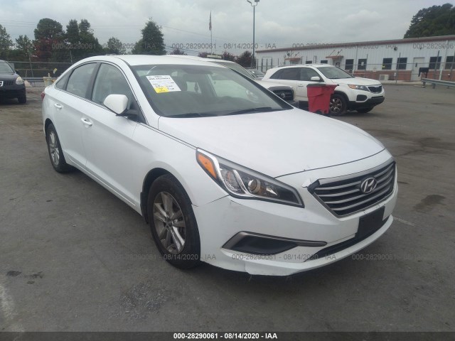 5NPE24AF0GH420607  hyundai sonata 2016 IMG 0