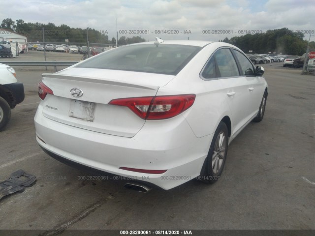 5NPE24AF0GH420607  hyundai sonata 2016 IMG 3