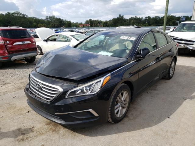 5NPE24AF1GH381364  hyundai sonata 2016 IMG 1