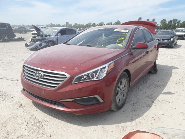 5NPE24AF1GH400401  hyundai sonata 2016 IMG 1