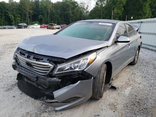 5NPE24AF1GH403542  hyundai sonata 2016 IMG 1