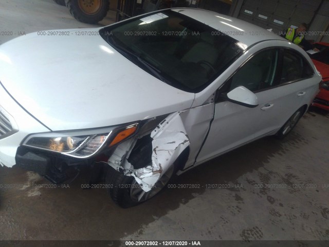 5NPE24AF2HH519172  hyundai sonata 2017 IMG 1