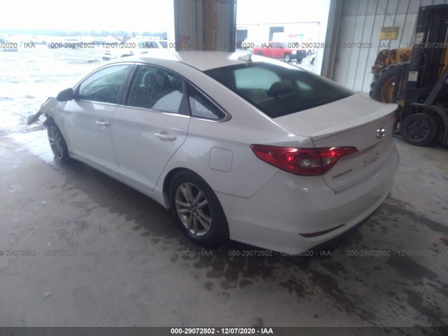 5NPE24AF2HH519172  hyundai sonata 2017 IMG 2