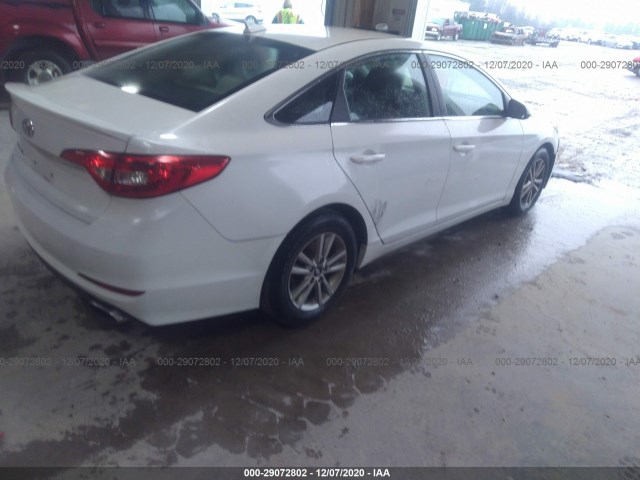 5NPE24AF2HH519172  hyundai sonata 2017 IMG 3