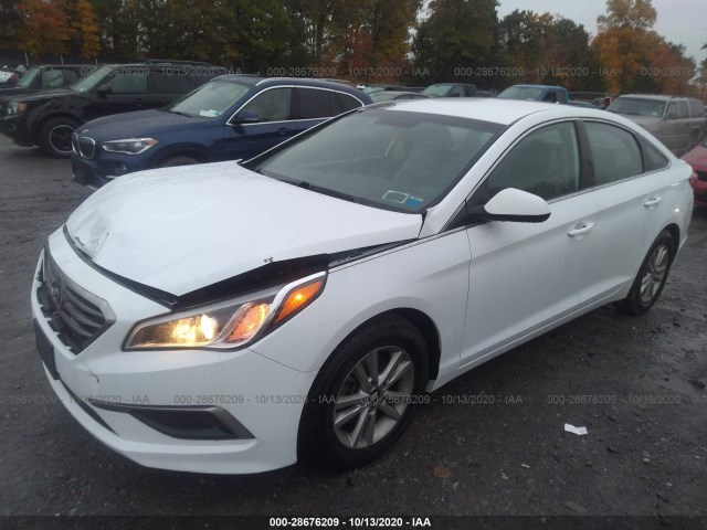 5NPE24AF3GH384816  hyundai sonata 2016 IMG 1