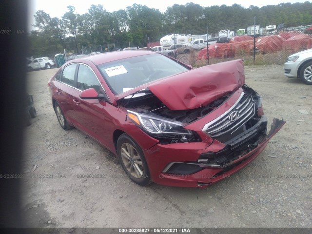 5NPE24AF4GH374120  hyundai sonata 2016 IMG 0