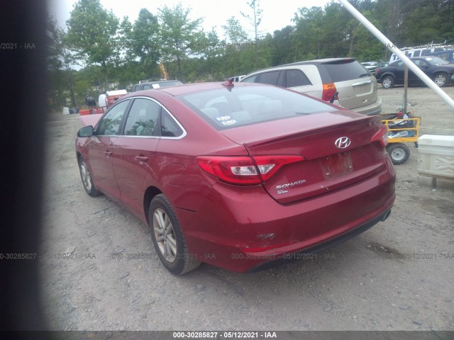 5NPE24AF4GH374120  hyundai sonata 2016 IMG 2