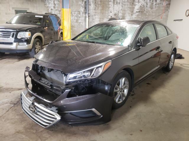 5NPE24AF4HH464546  hyundai sonata 2016 IMG 1