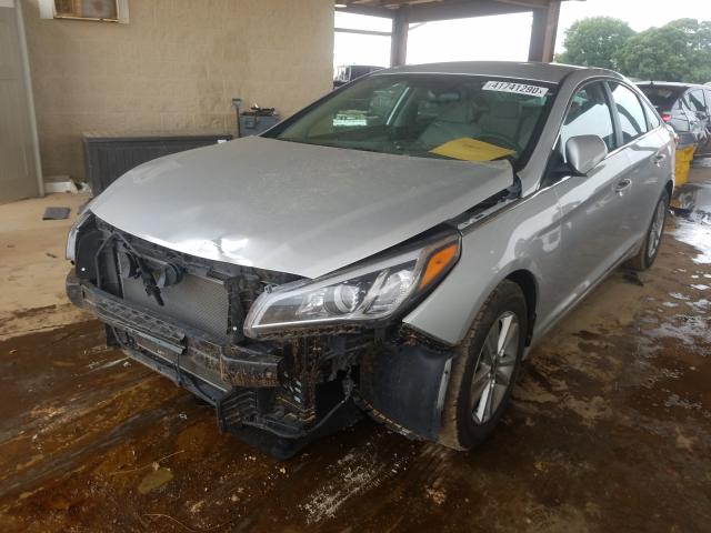 5NPE24AF6GH389900  hyundai sonata 2016 IMG 1