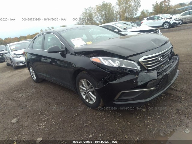 5NPE24AF6HH493627  hyundai sonata 2016 IMG 0