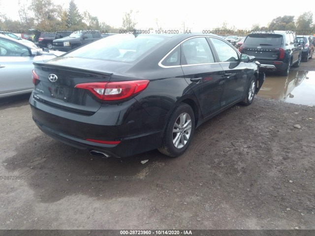 5NPE24AF6HH493627  hyundai sonata 2016 IMG 3