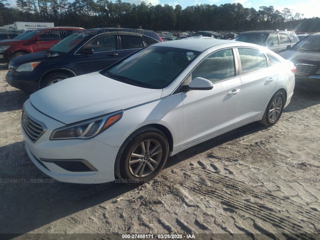 5NPE24AF7GH310704  hyundai sonata 2016 IMG 1