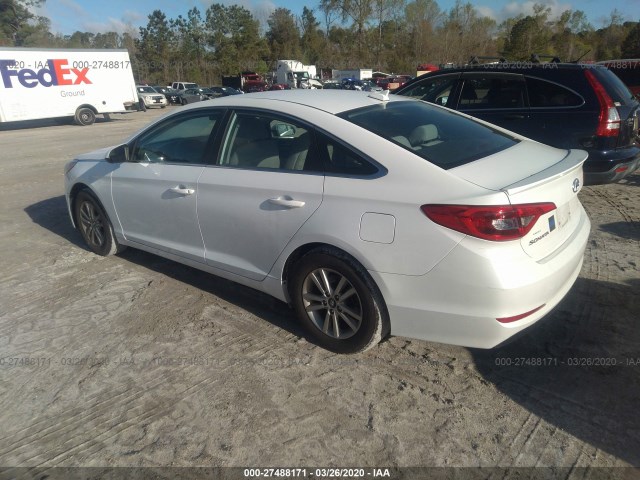 5NPE24AF7GH310704  hyundai sonata 2016 IMG 2