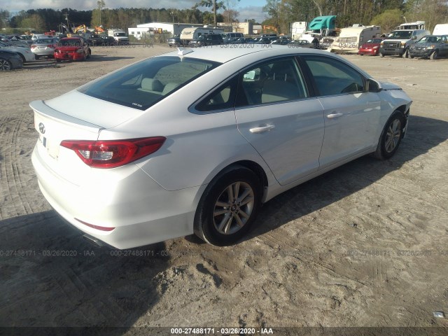 5NPE24AF7GH310704  hyundai sonata 2016 IMG 3