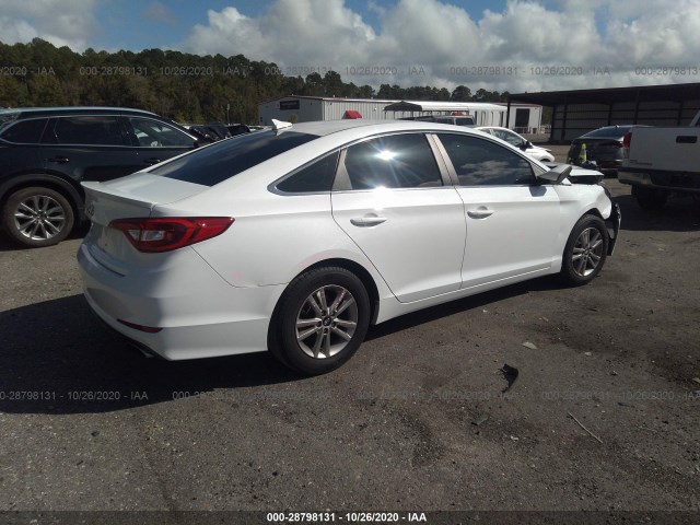 5NPE24AF7GH404596  hyundai sonata 2016 IMG 3