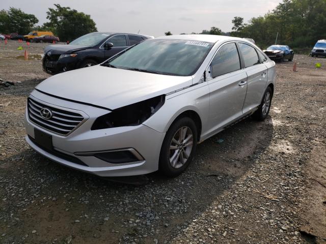 5NPE24AF7GH435220  hyundai  2016 IMG 1