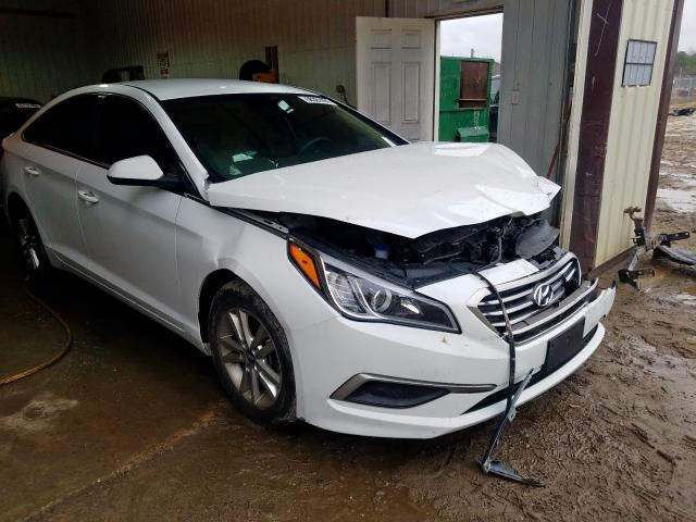 5NPE24AF7HH475623  hyundai sonata 2016 IMG 0