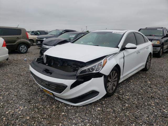 5NPE34AF3GH420081  hyundai sonata 2016 IMG 1