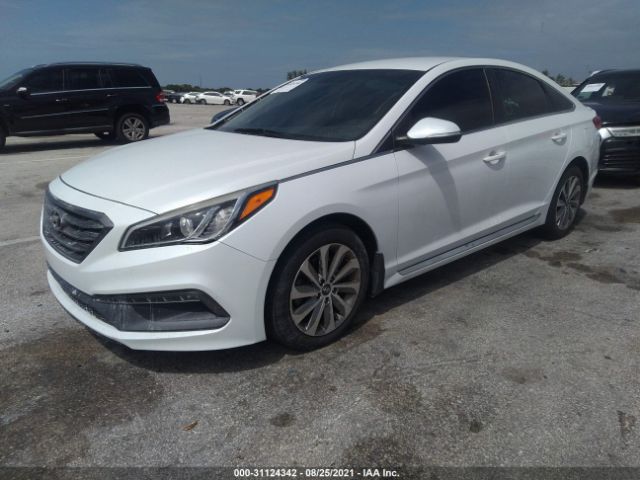 5NPE34AF6GH308892  hyundai sonata 2016 IMG 1