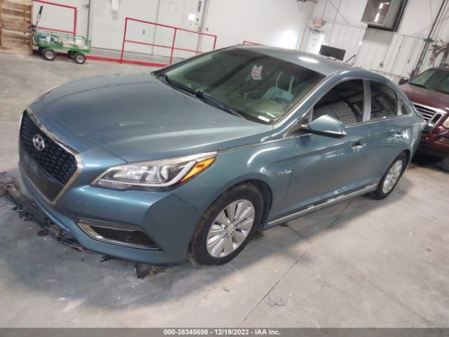 KMHE24L17GA039521  hyundai sonata 2016 IMG 1