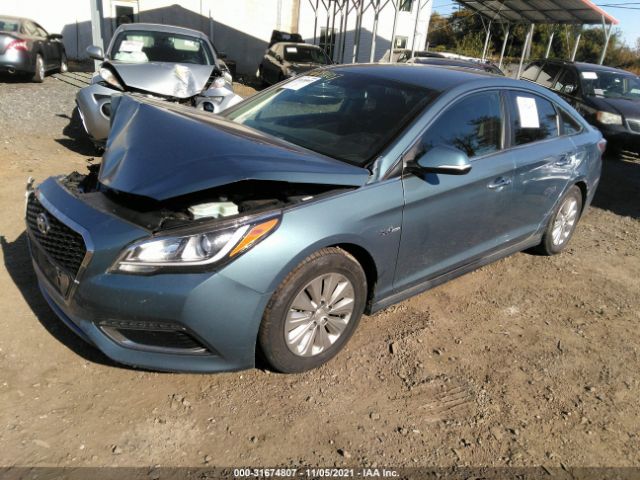 KMHE24L18GA037583  hyundai sonata 2016 IMG 1