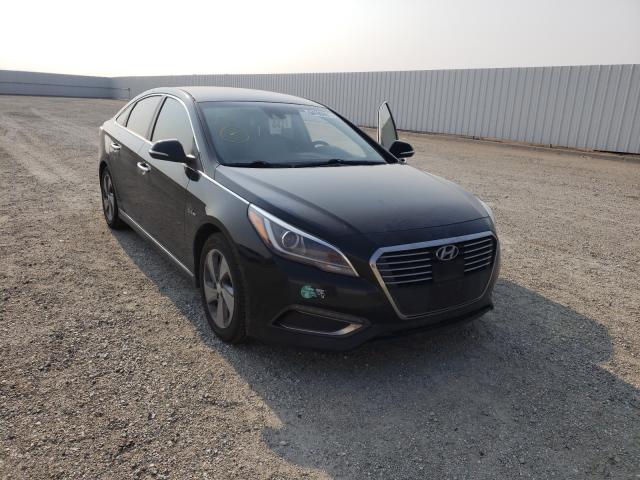 KMHE54L27GA036960  hyundai  2016 IMG 0