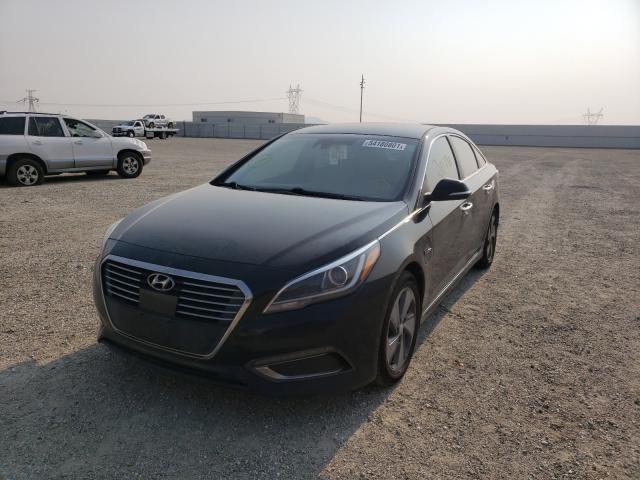 KMHE54L27GA036960  hyundai  2016 IMG 1