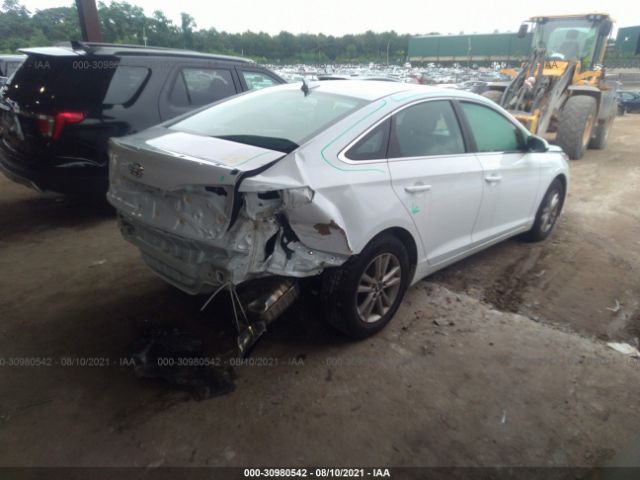 5NPE24AF0HH547519  hyundai sonata 2017 IMG 3